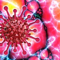 Весь мир охвачен пандемией коронавирусной инфекции.